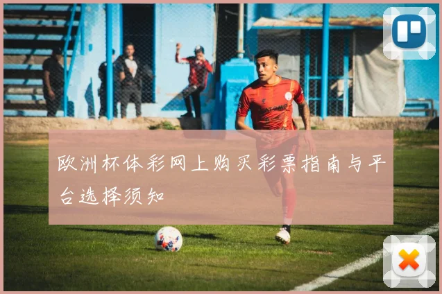 欧洲杯体彩网上购买彩票指南与平台选择须知