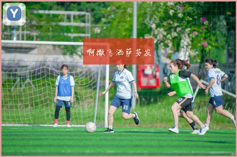 2024世界杯足球举办国确定 卡塔尔承办赛事引发关注