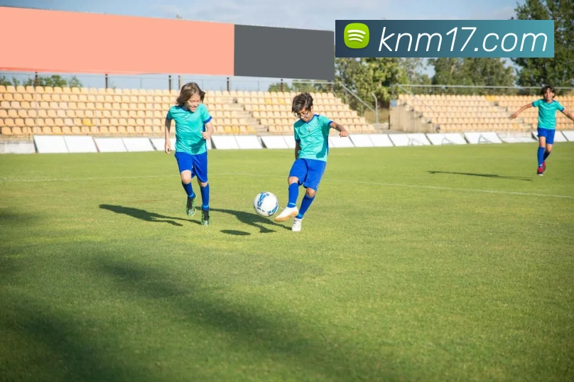 世界杯app官网平台生态图